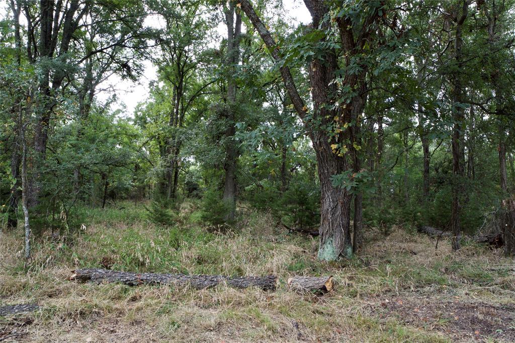 Tbd Garner- Adell Road Weatherford, TX 76088 - Photo 4 of 25 a view of a forest with trees in the background