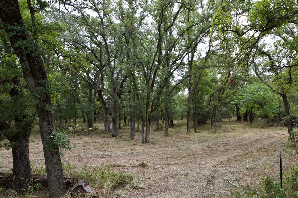 Tbd Garner- Adell Road Weatherford, TX 76088 - Photo 5 of 25 a view of outdoor space with lots of trees