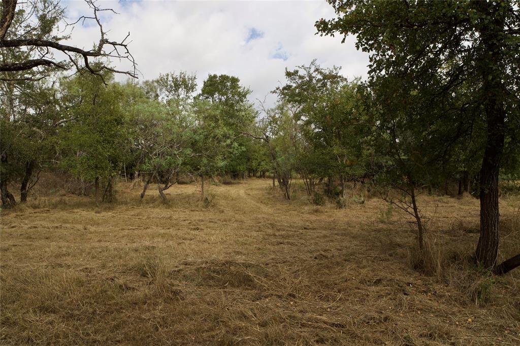 Tbd Garner- Adell Road Weatherford, TX 76088 - Photo 9 of 25 a view of a yard with a tree