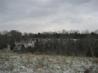 1239 Tracy Road Lawrenceburg, KY 40342 - Photo 6 of 11 Photo 6