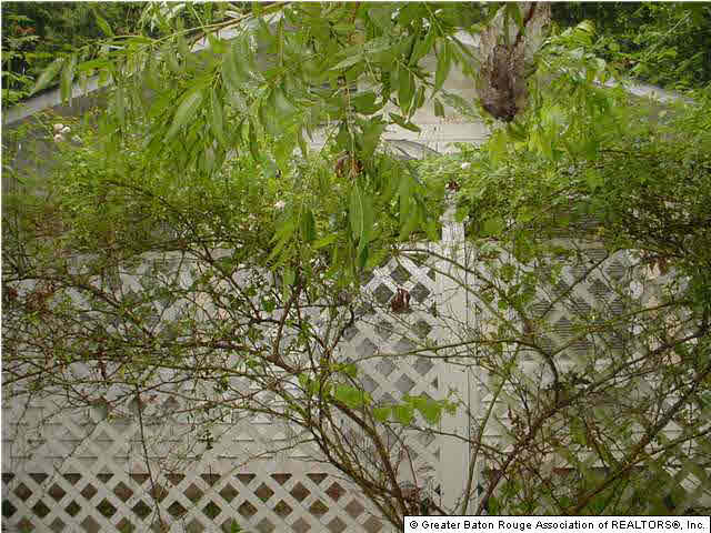 425 East Boyd Drive Baton Rouge, LA 70808 - Photo 5 of 7 Gallery Image 5