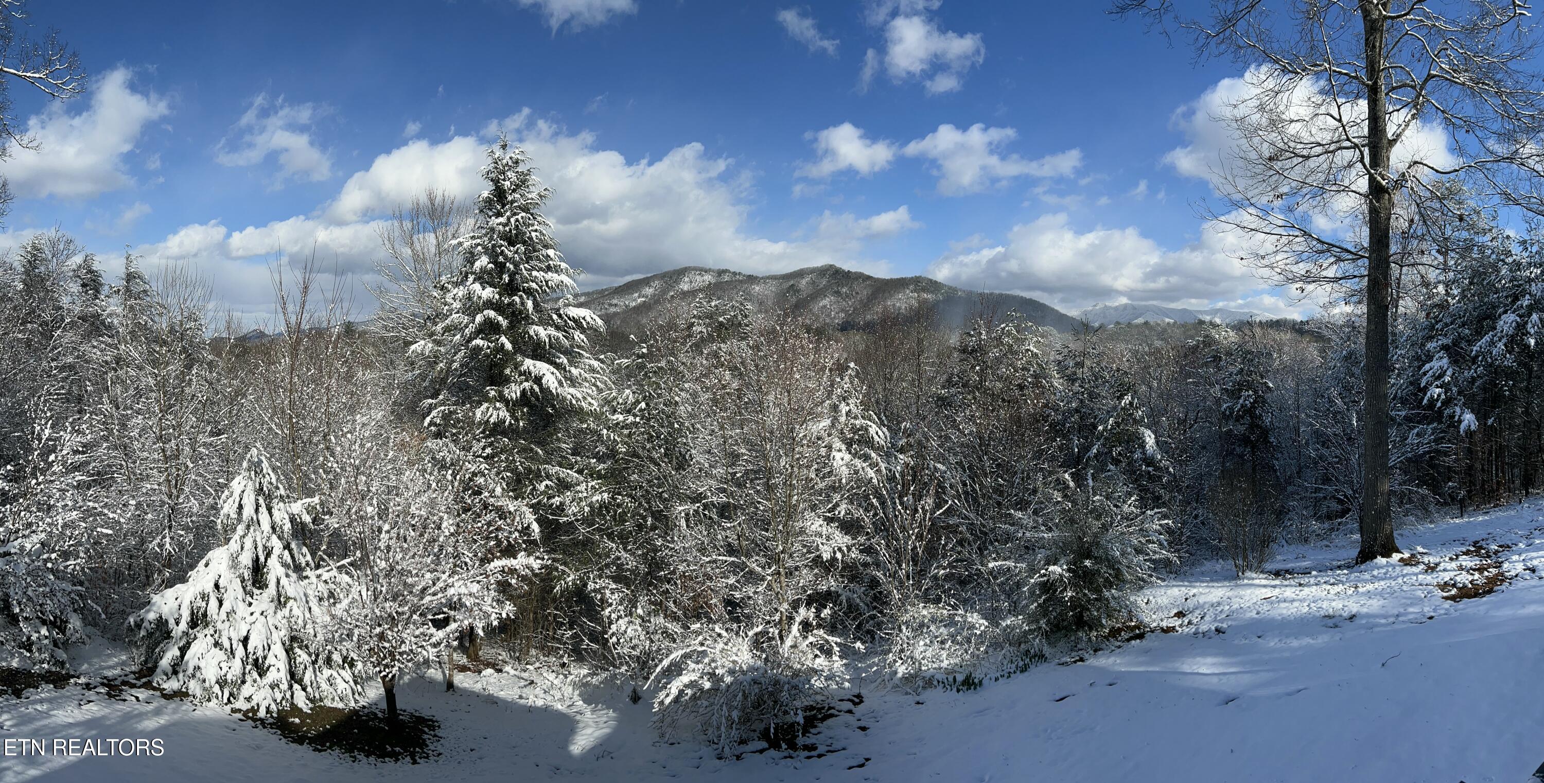427 Gold Road Cosby, TN 37722 - Photo 33 of 56 IMG_0316