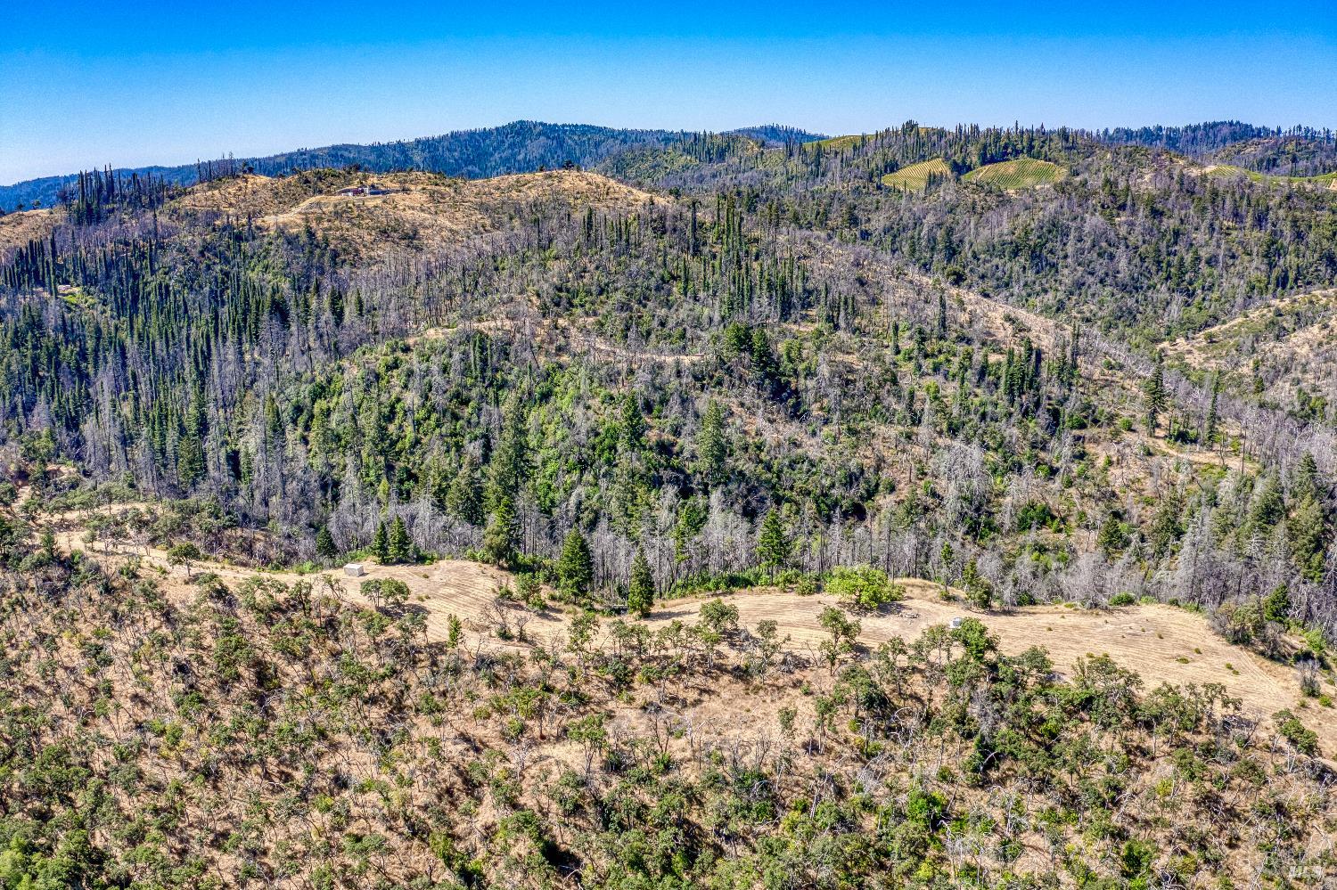 3444 Chicken Ridge Road Healdsburg, CA 95448 - Photo 11 of 12 a view of a yard covered with snow