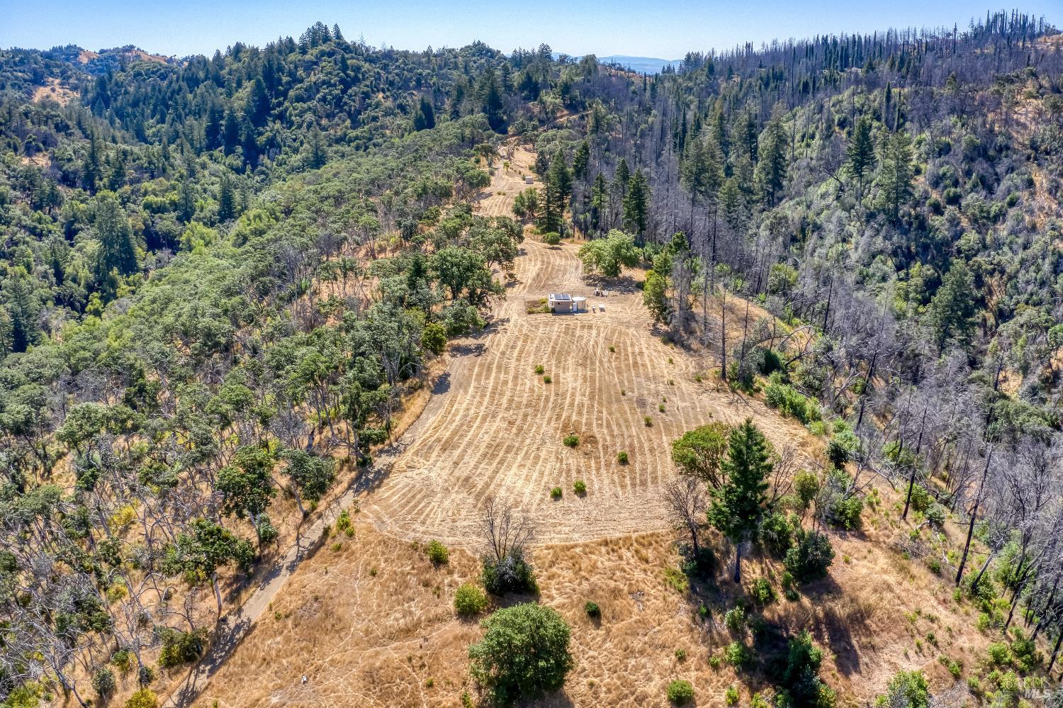 3444 Chicken Ridge Road Healdsburg, CA 95448 - Photo 5 of 12 a view of a forest with trees in the background