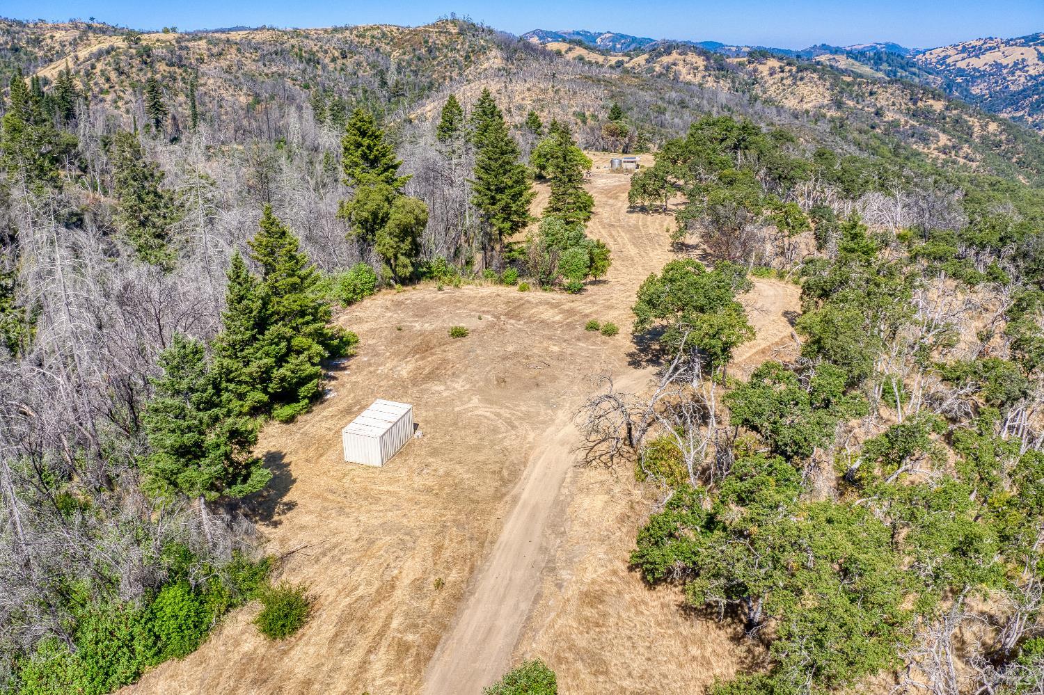 3444 Chicken Ridge Road Healdsburg, CA 95448 - Photo 8 of 12 a view of a yard with a tree