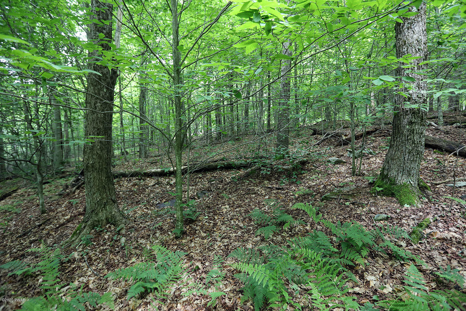0 Minckler Mountain Road Equinunk, PA 18417 - Photo 11 of 39