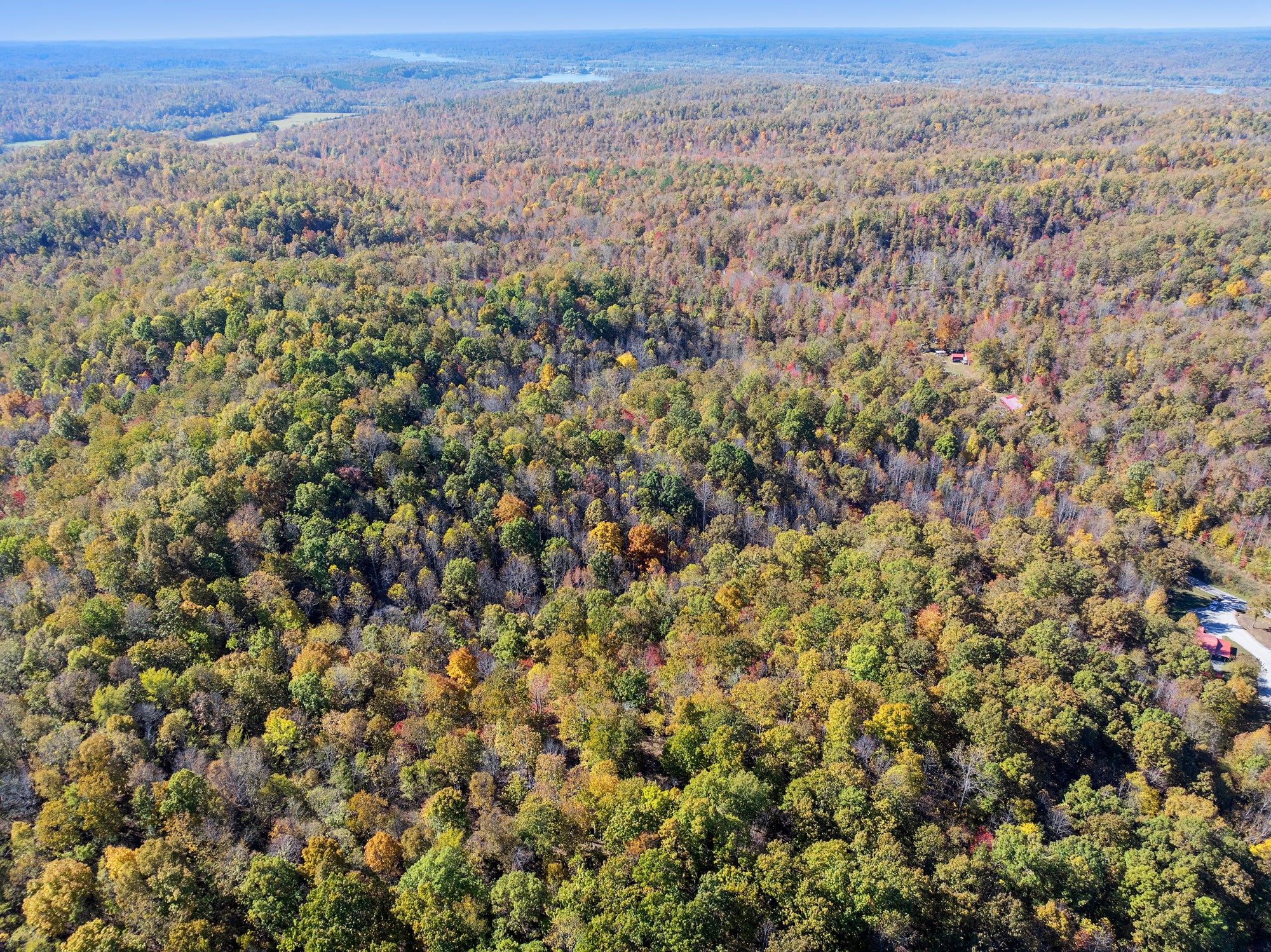 0 Lower Crooked Creek Road Lobelville, TN 37097 - Photo 11 of 15 an aerial view of forest