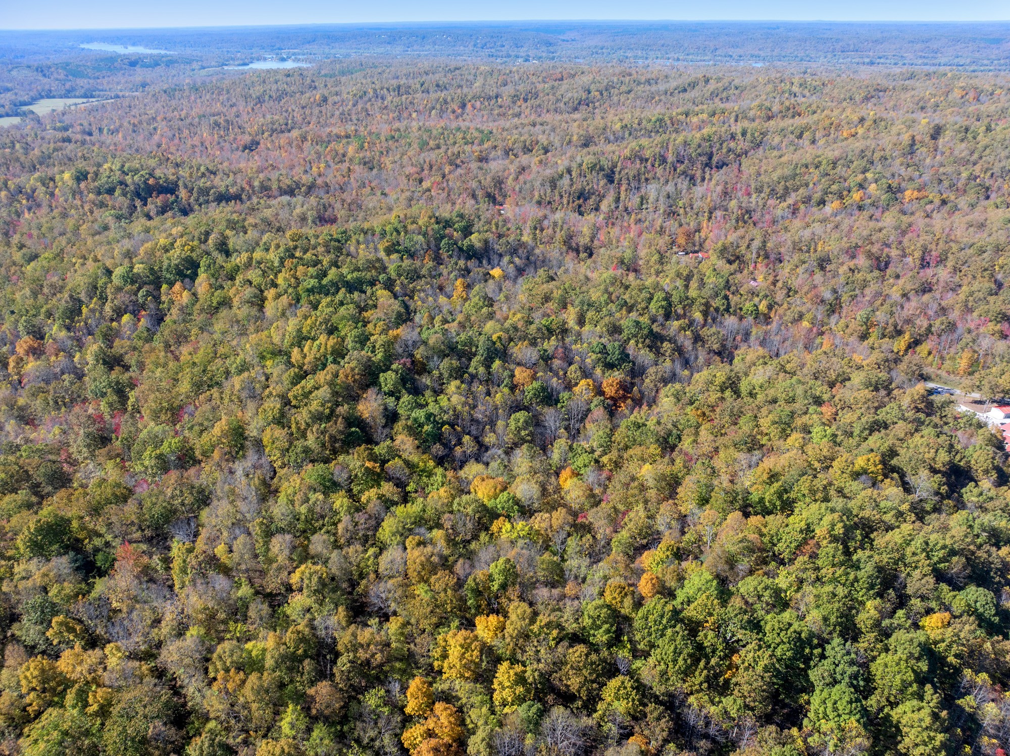 0 Lower Crooked Creek Road Lobelville, TN 37097 - Photo 12 of 15 an aerial view of forest