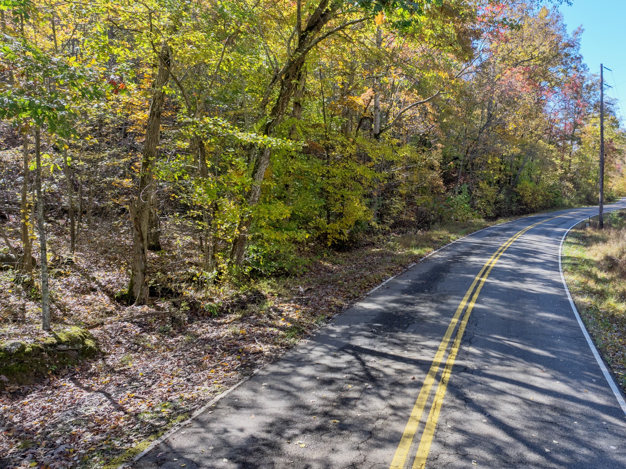 0 Lower Crooked Creek Road Lobelville, TN 37097 - Photo 2 of 15 a view of a backyard with trees
