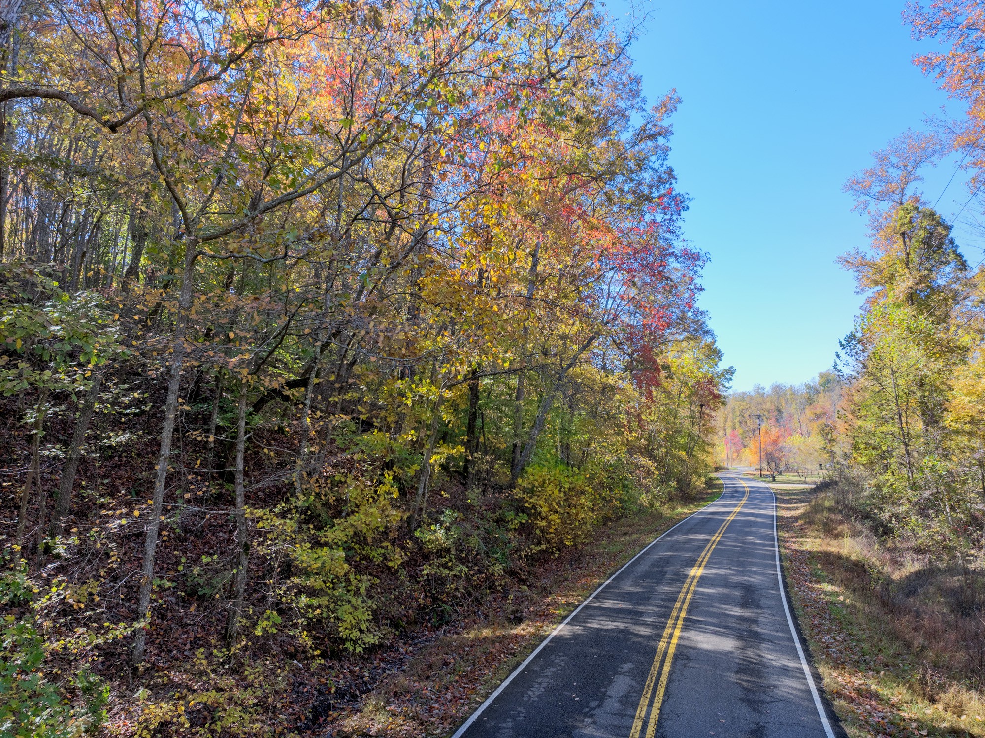 0 Lower Crooked Creek Road Lobelville, TN 37097 - Photo 3 of 15 a view of a pathway both side of yard
