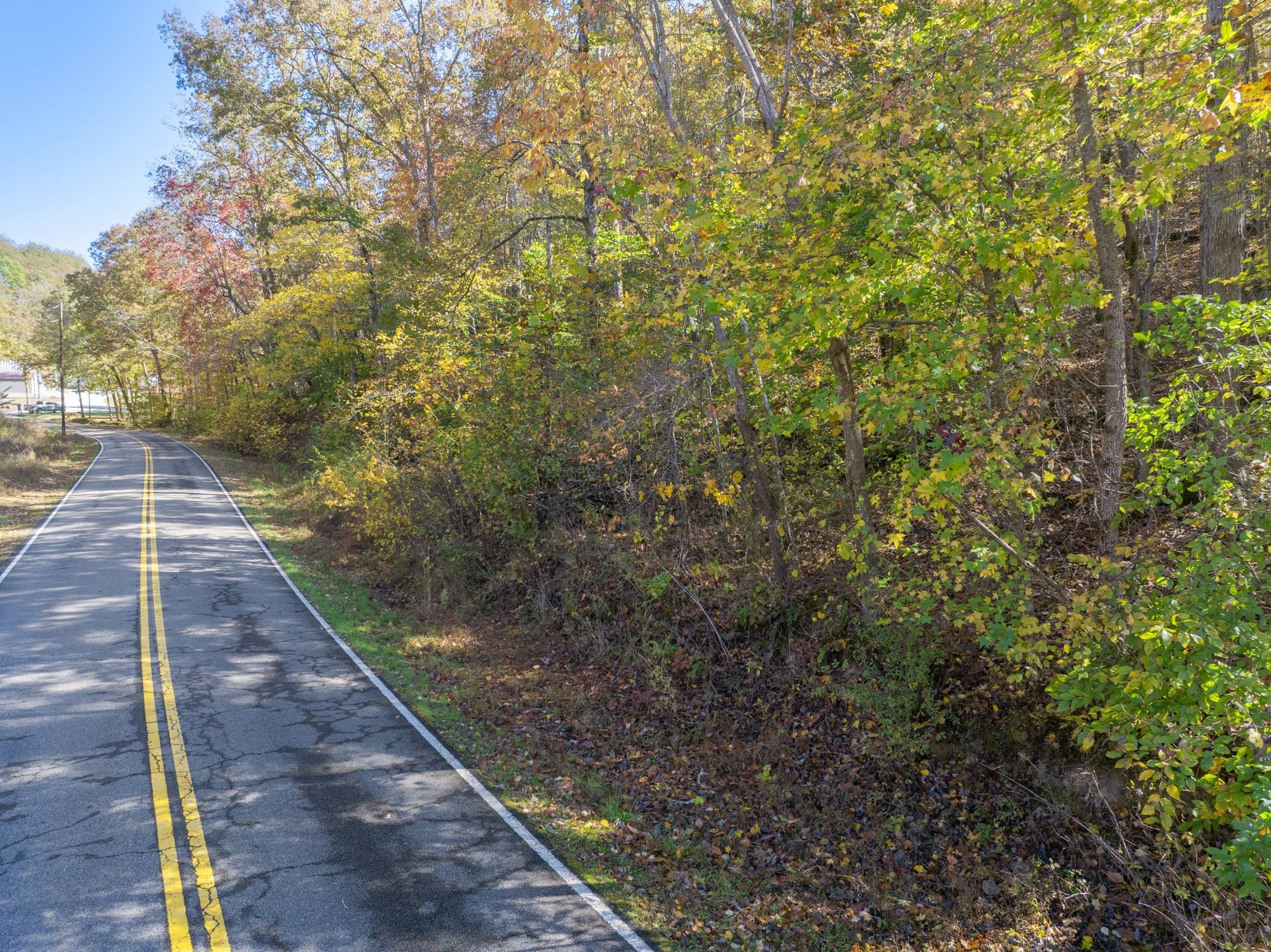 0 Lower Crooked Creek Road Lobelville, TN 37097 - Photo 4 of 15 a view of a yard with plants