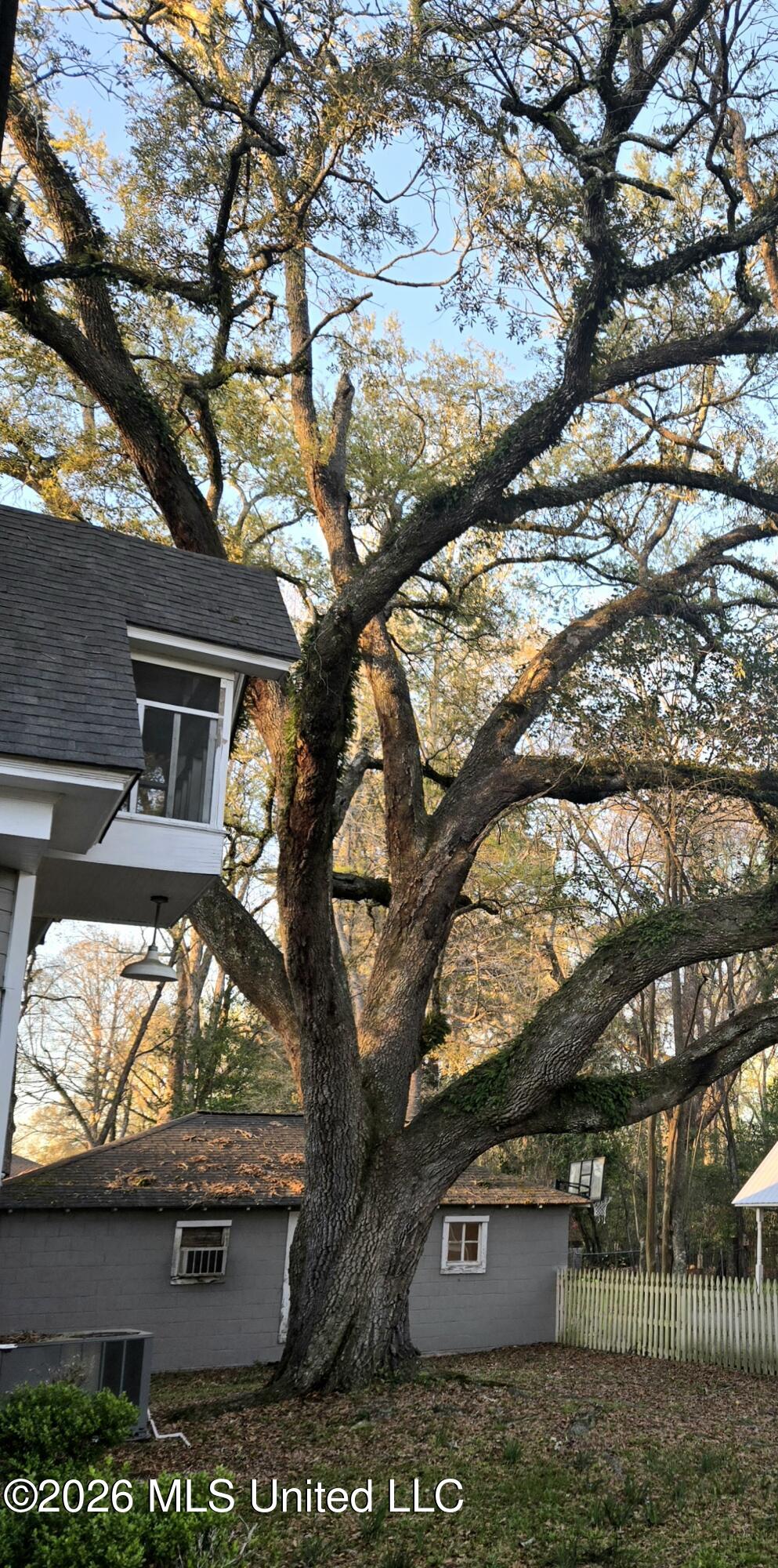 701 Broad Street Columbia, MS 39429 - Photo 11 of 111 18051