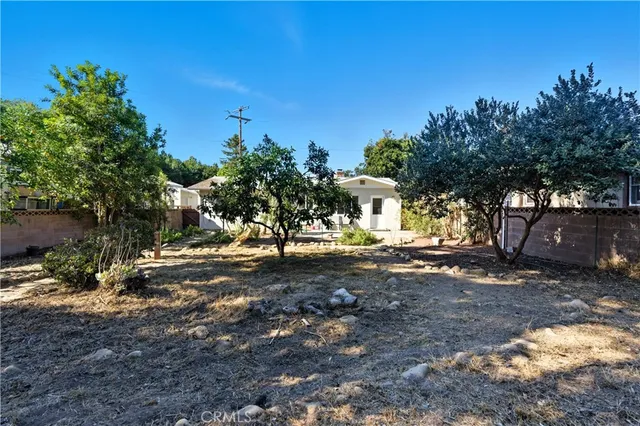 a view of a yard with a tree