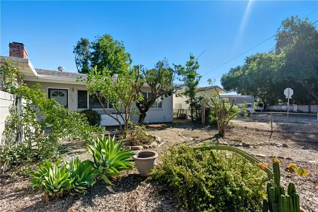 a view of a backyard with plants and chairs