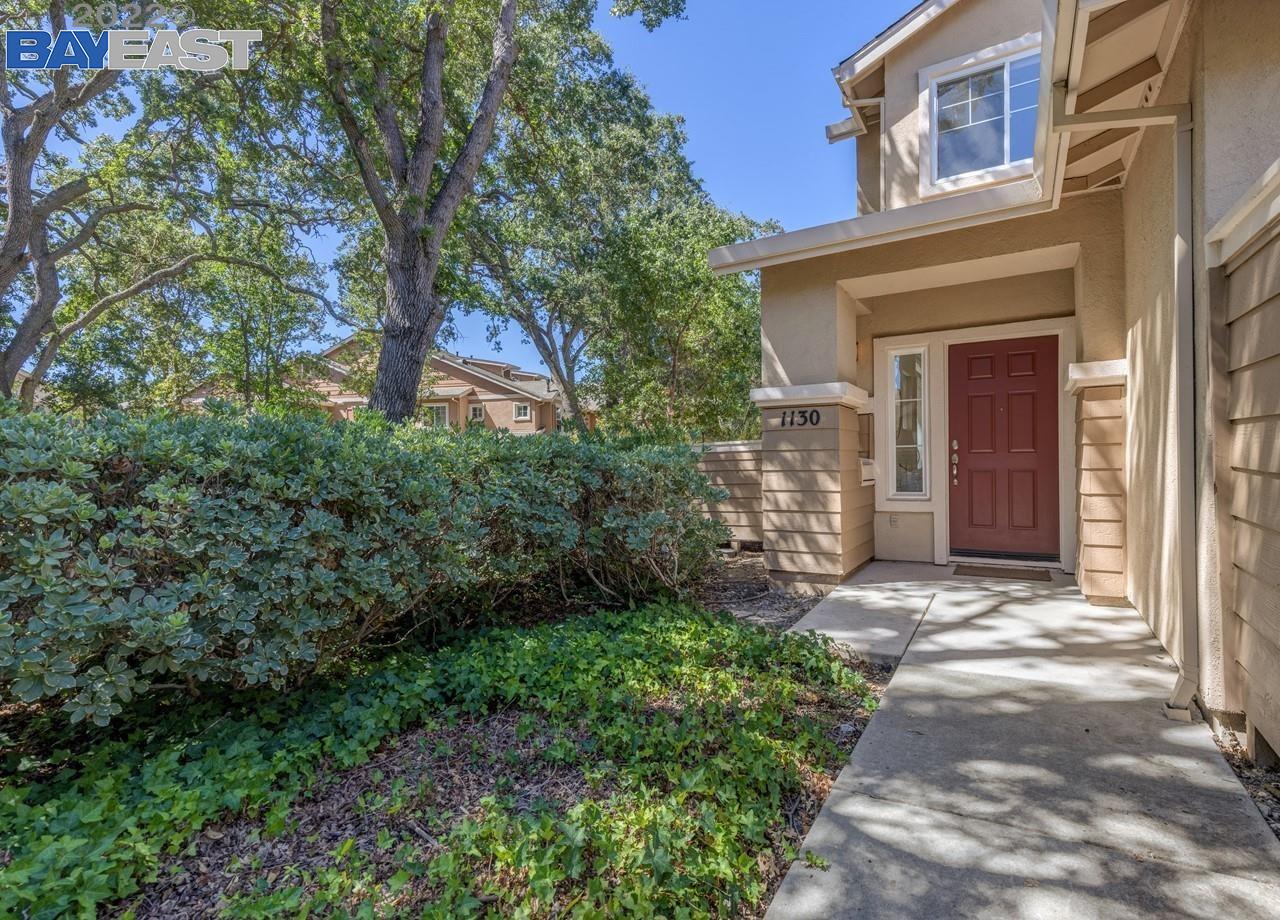 a view of a brick house with a yard and large tree