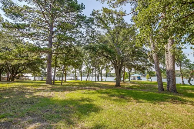 a big yard with lots of trees