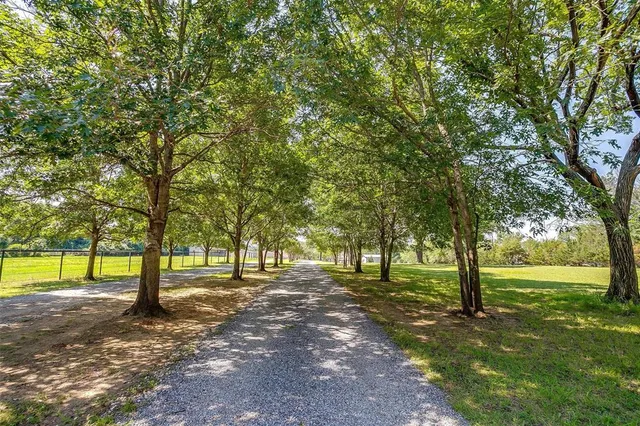 a view of outdoor space with trees