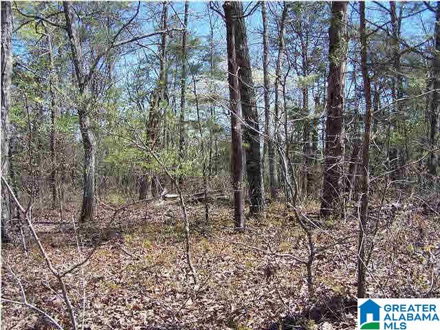 0 Homestead Lane Remlap, AL 35133 - Photo 10 of 23