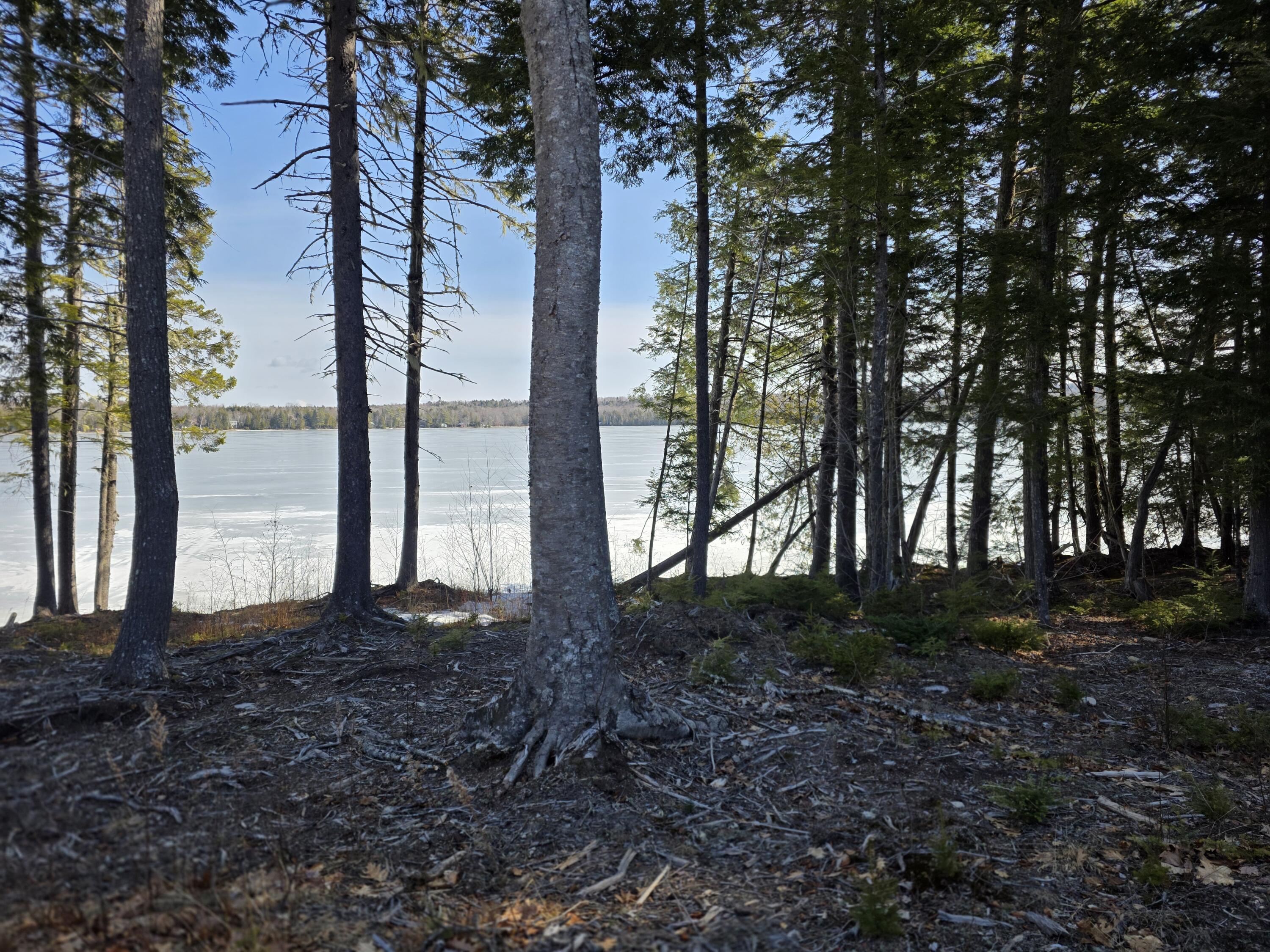 76 Little River Cove Road Weston, ME 04424 - Photo 9 of 14 20260329_101012