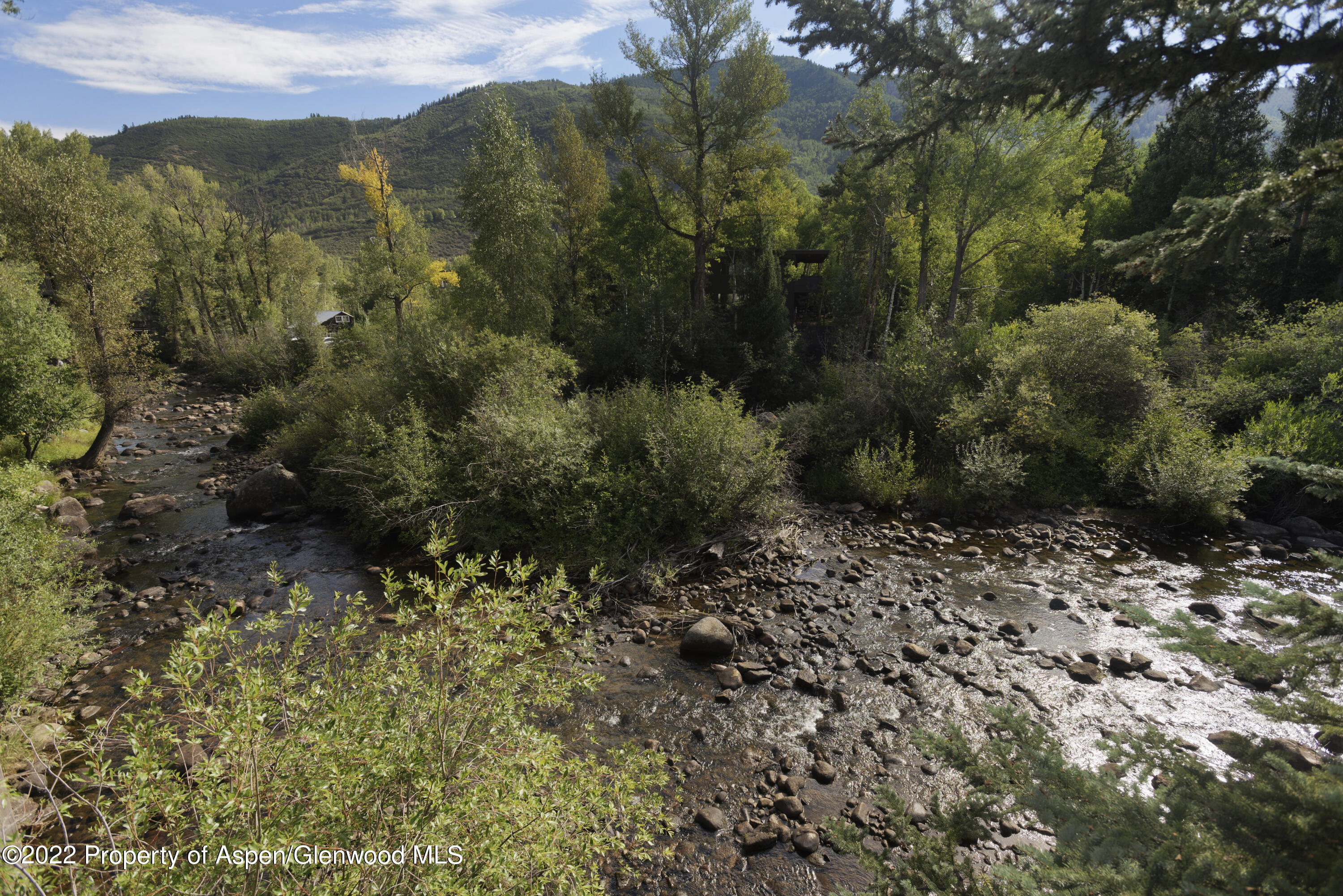 1050 Waters Avenue, Unit 14 Aspen, CO 81611 - Photo 14 of 19 a view of a forest with a forest
