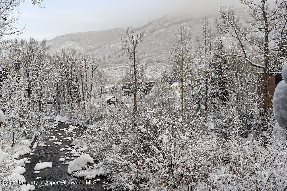 1050 Waters Avenue, Unit 14 Aspen, CO 81611 - Photo 15 of 19 a view of a pathway with a yard