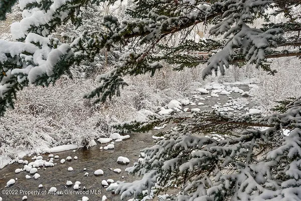 a view of a tree with a yard