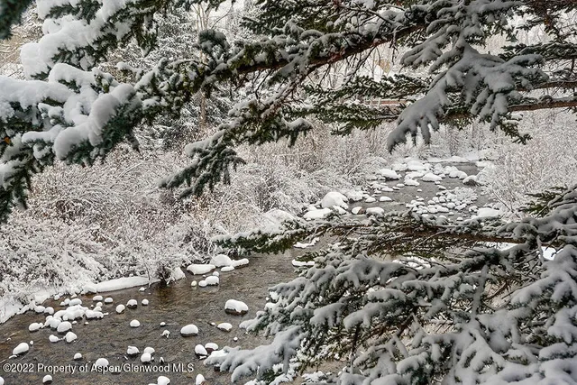 a view of a tree with a yard