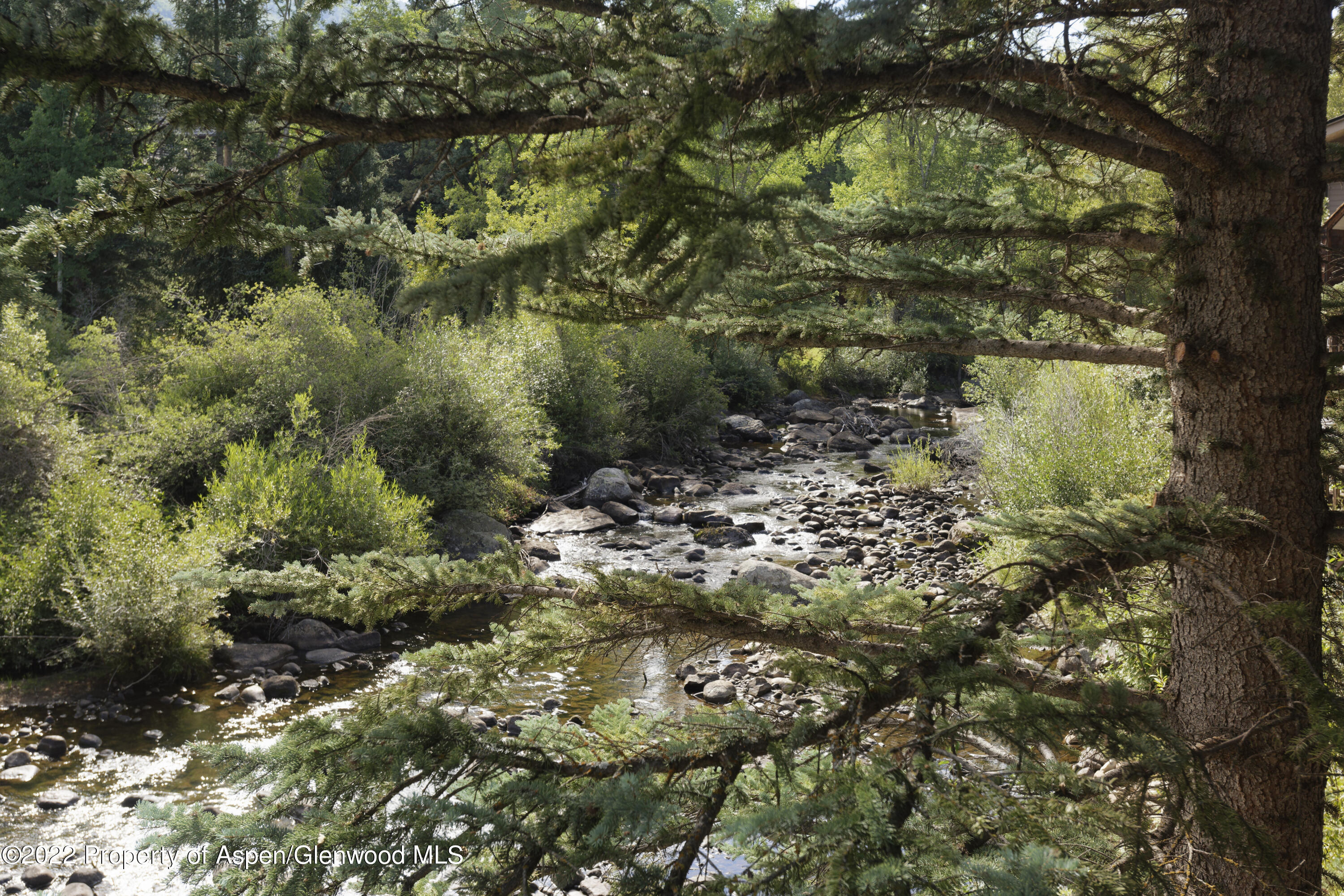 1050 Waters Avenue, Unit 14 Aspen, CO 81611 - Photo 17 of 19 a view of a tree with a yard