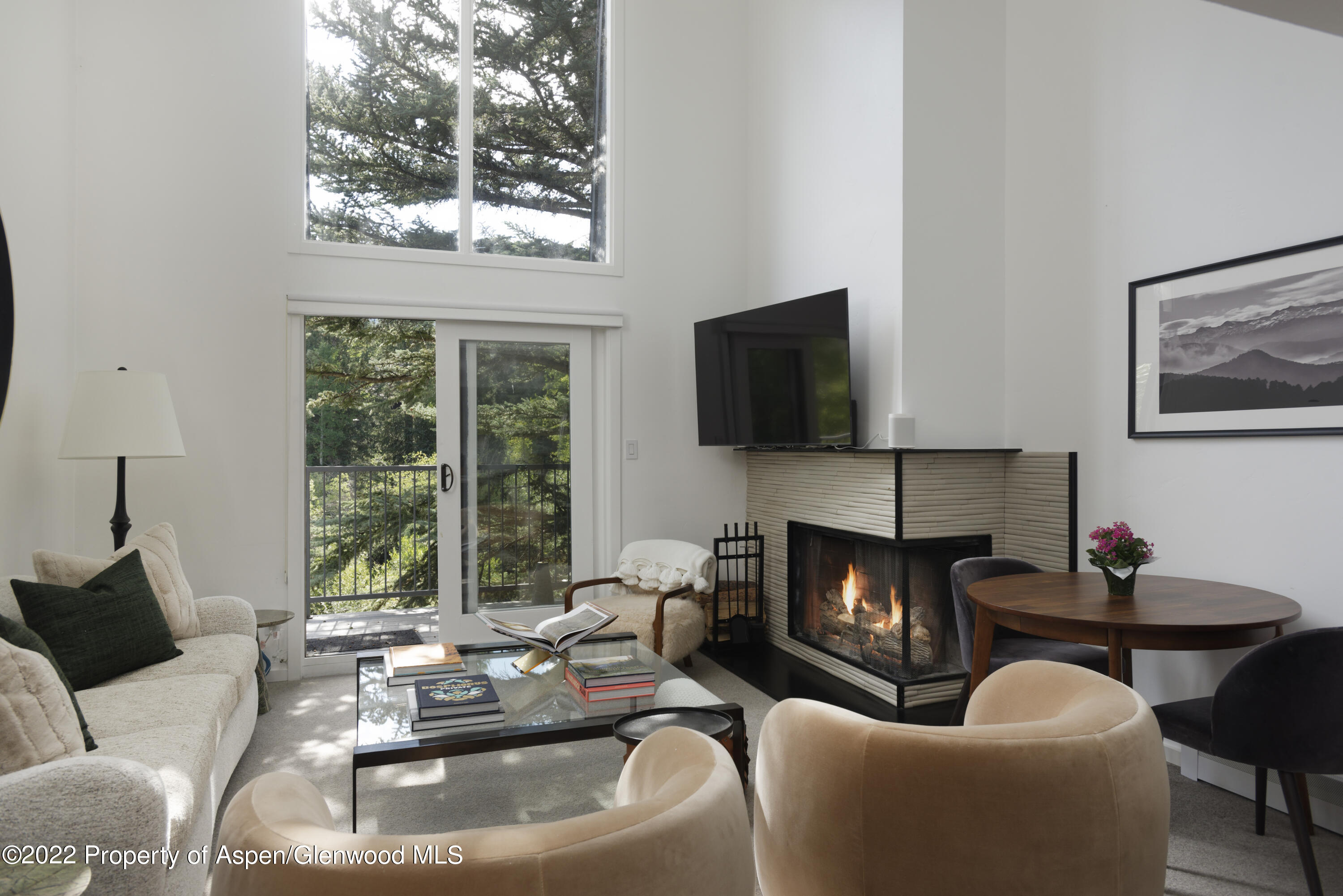 1050 Waters Avenue, Unit 14 Aspen, CO 81611 - Photo 2 of 19 a living room with furniture fireplace and window