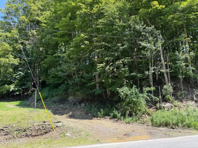 $38,000 | 1499 Huntersland Road, Middleburgh, NY 12122