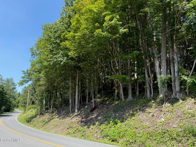 $38,000 | 1499 Huntersland Road, Middleburgh, NY 12122