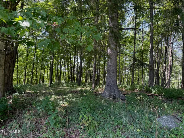 $38,000 | 1499 Huntersland Road, Middleburgh, NY 12122