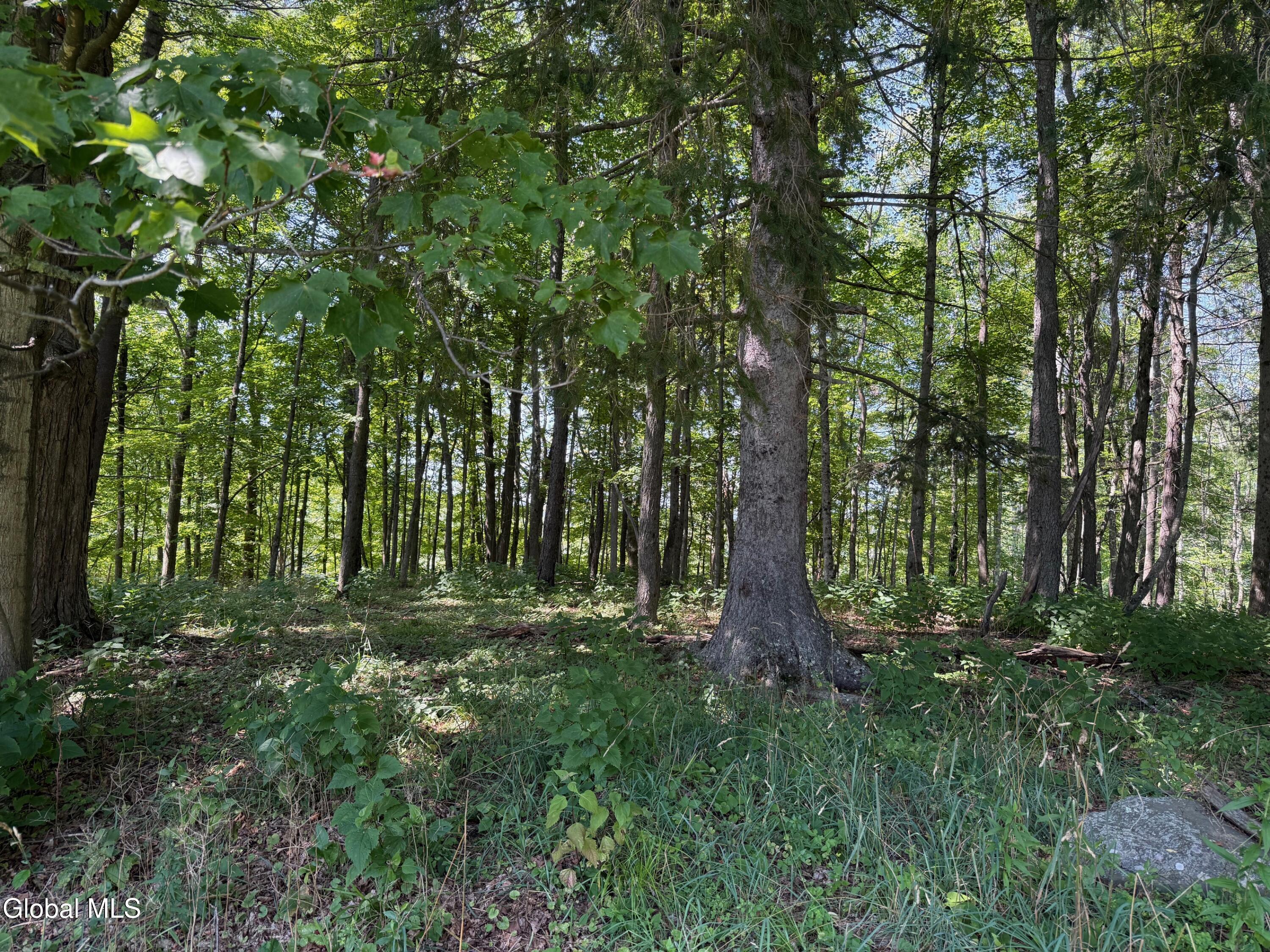 1499 Huntersland Road Middleburgh, NY 12122 - Photo 5 of 6 05