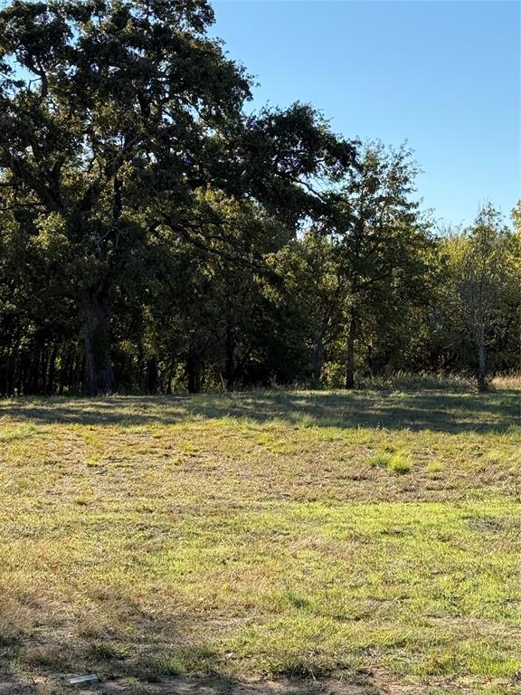 1113 Gonzollas Road Springtown, TX 76082 - Photo 2 of 2 a view of a swimming pool