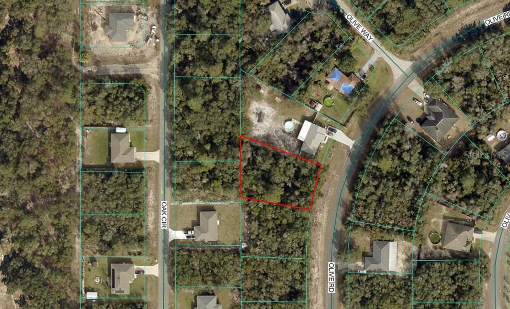 Olive Road Ocala, FL 34472 - Photo 2 of 7 Gallery Image 2