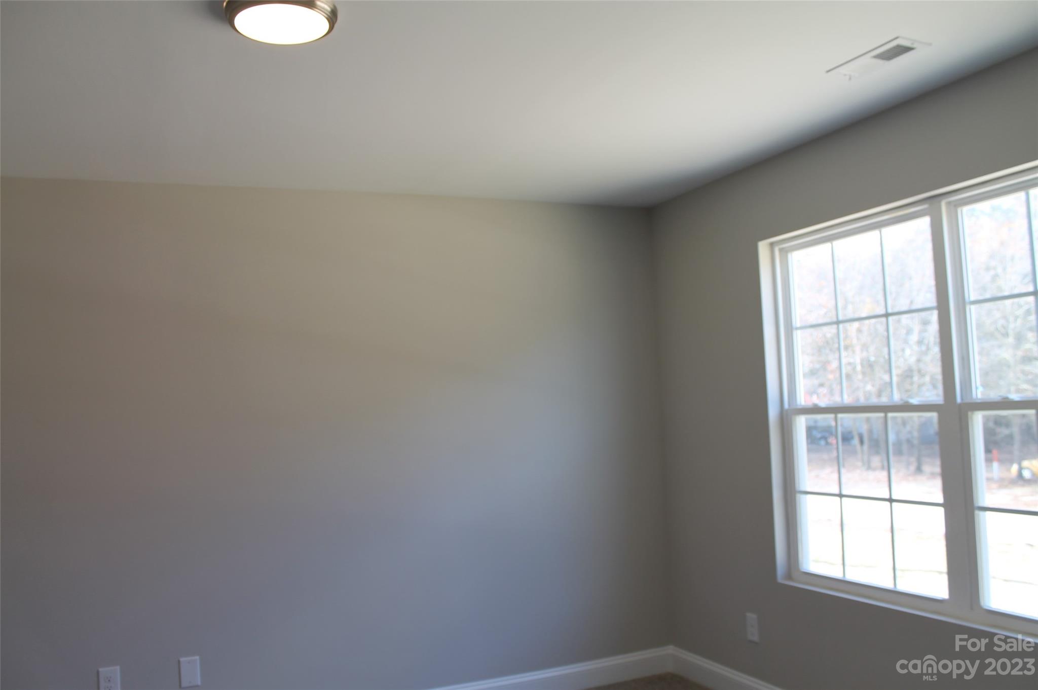 123 Yellow Branch Road Pageland, SC 29728 - Photo 5 of 13 Gallery Image 5