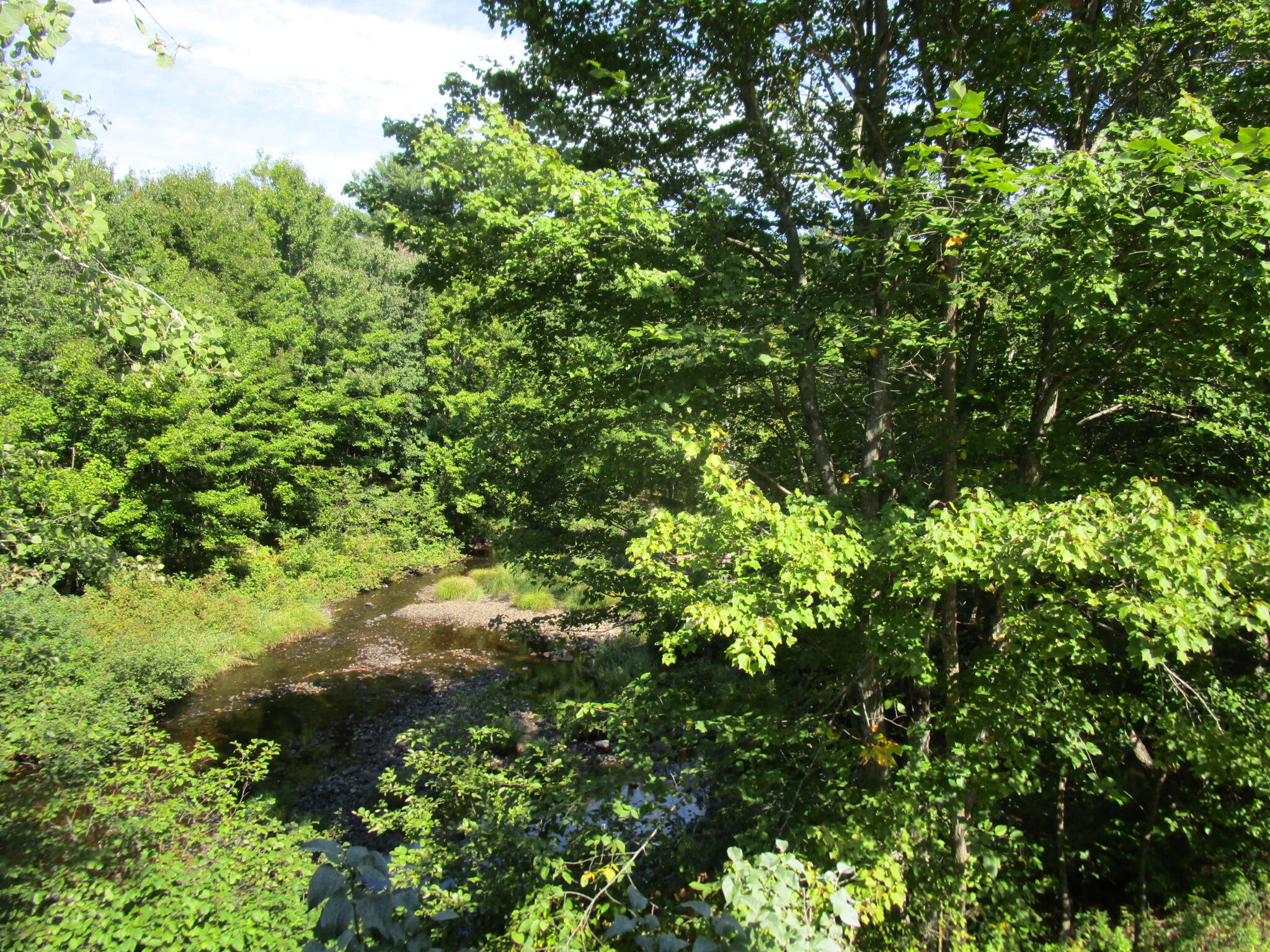 590 West Paris Road Greenwood, ME 04255 - Photo 34 of 39 IMG_2692