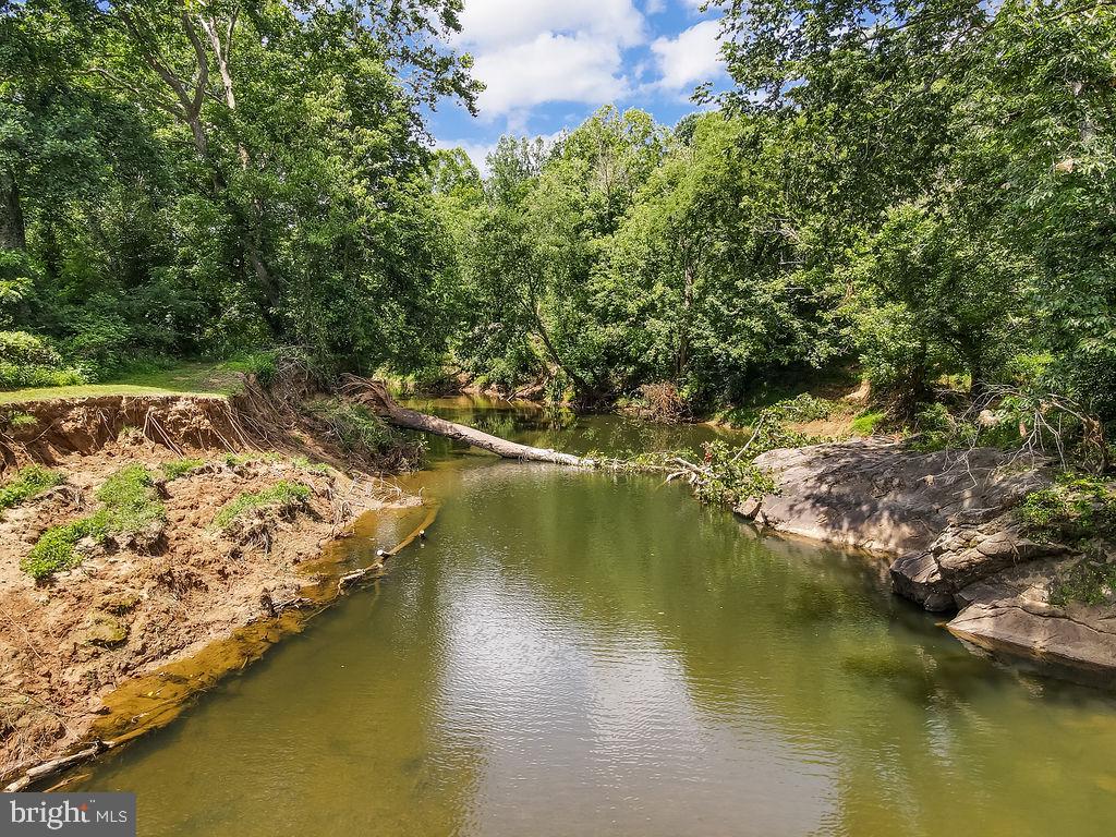 12095 Hazel River Road Rixeyville, VA 22737 - Photo 4 of 43