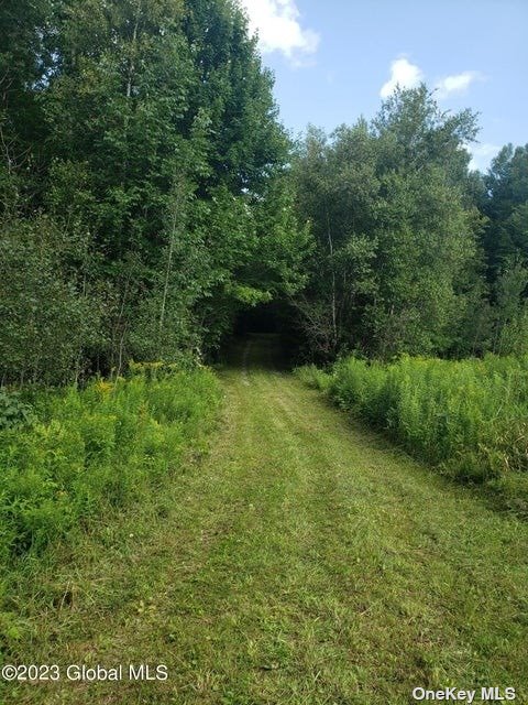 110 Stone Road Malone, NY 12953 - Photo 13 of 24 a view of backyard with green space