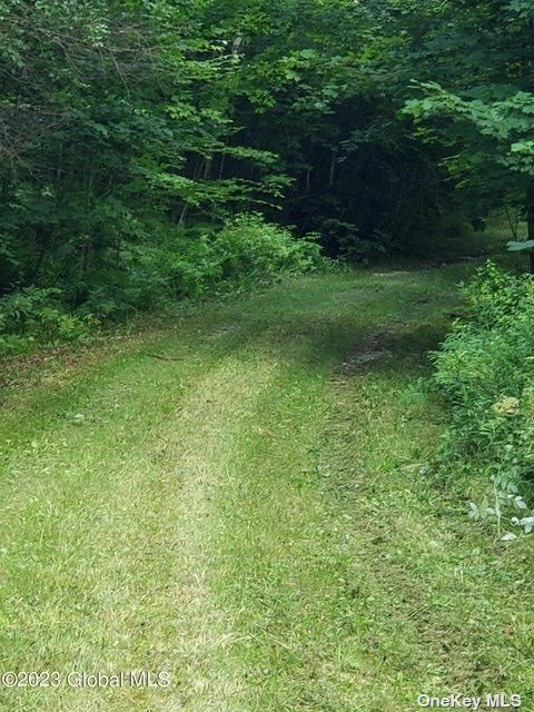 110 Stone Road Malone, NY 12953 - Photo 14 of 24 a view of a backyard