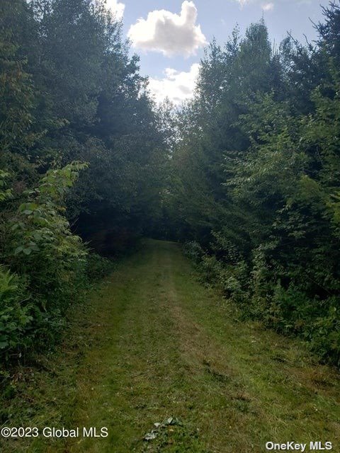 110 Stone Road Malone, NY 12953 - Photo 15 of 24 a view of outdoor space and garden