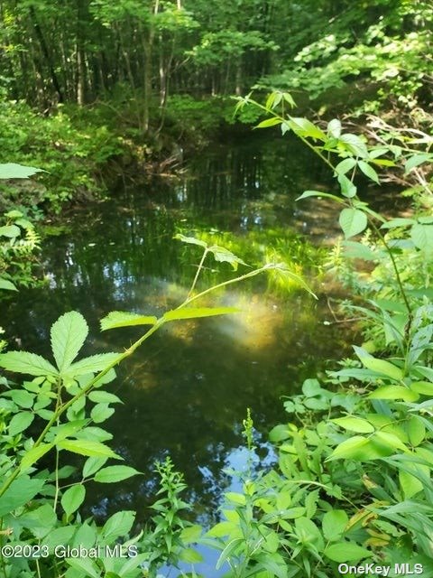 110 Stone Road Malone, NY 12953 - Photo 19 of 24 a view of a tree
