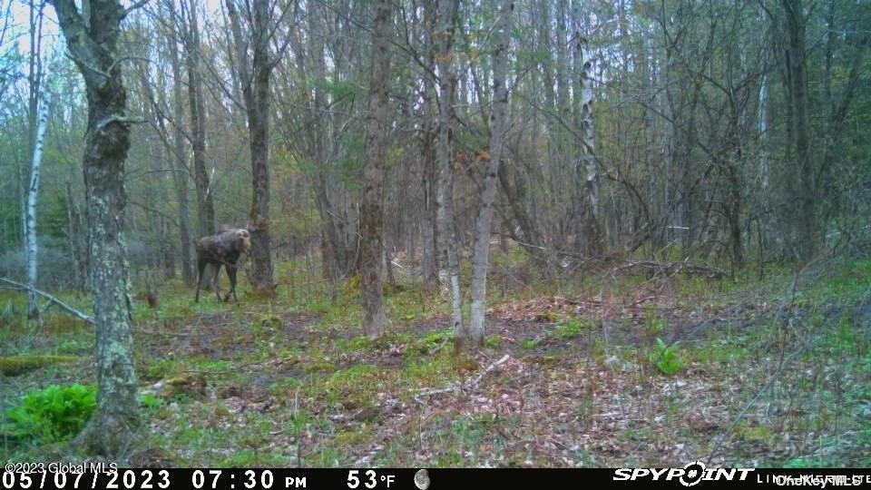110 Stone Road Malone, NY 12953 - Photo 21 of 24 a view of a green field