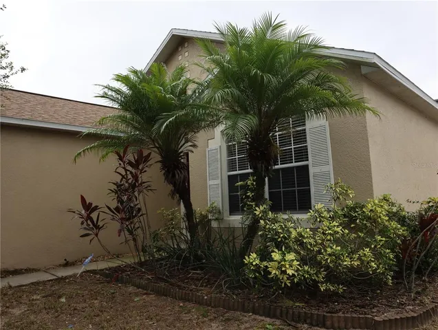 a plant is in front of a house