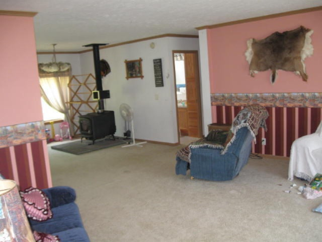 16720 Flarity Road Brethren, MI 49619 - Photo 8 of 26 IMG_7061