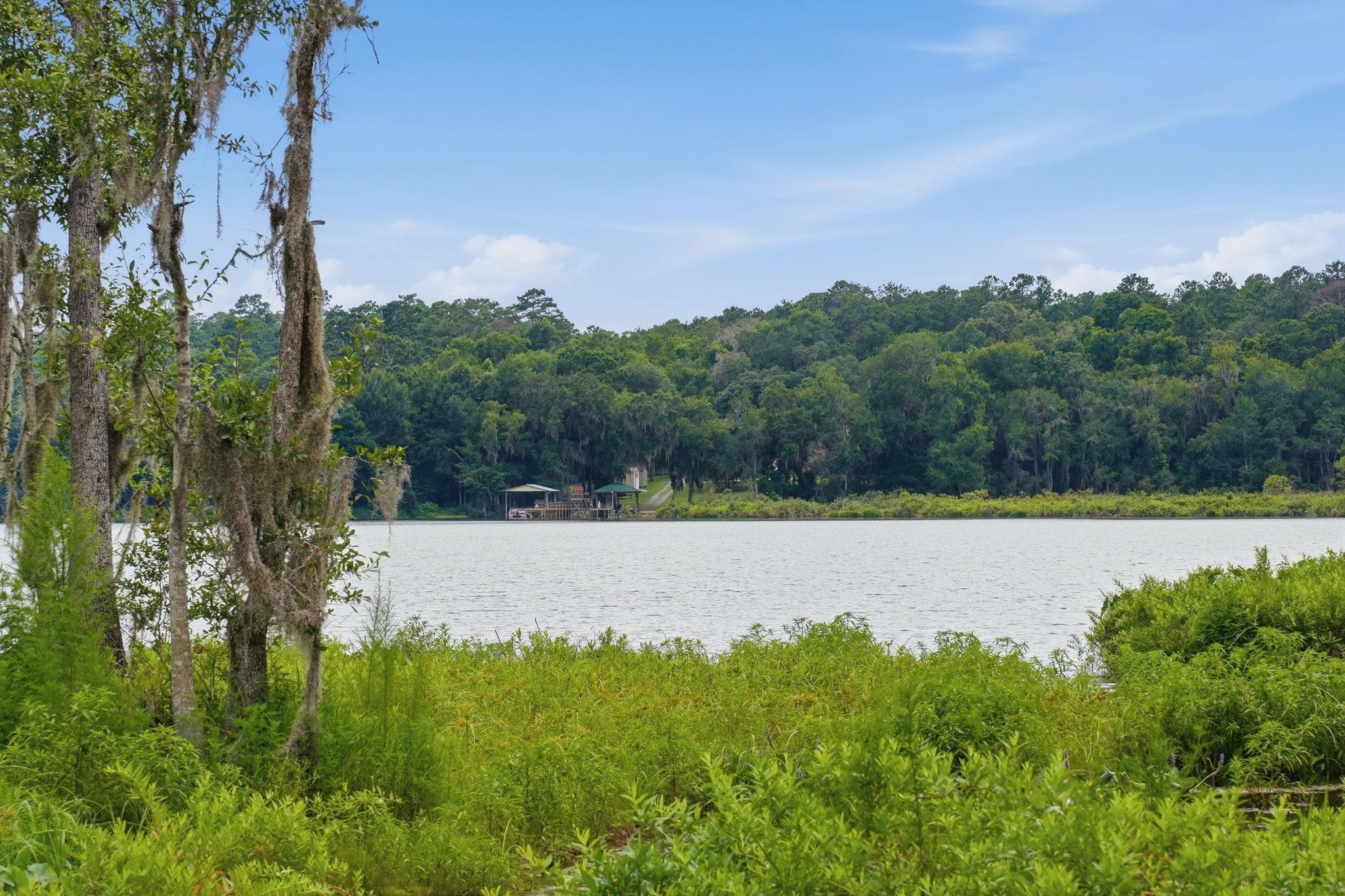 6981 Duck Cove Road Tallahassee, FL 32312 - Photo 52 of 63