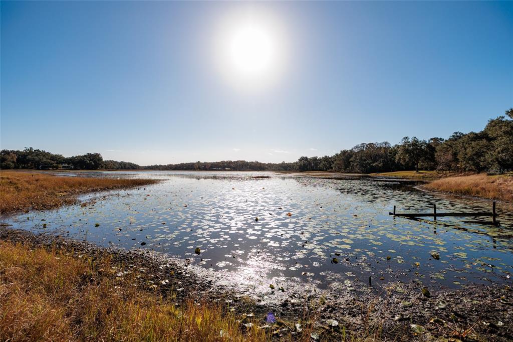8694 East San Ramon Court Inverness, FL 34450 - Photo 2 of 74