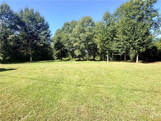 Tbd Hickman Road Franklinton, LA 70438 - Photo 22 of 22 Gallery Image 22