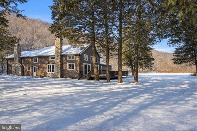 a view of a backyard with a house and a large tree