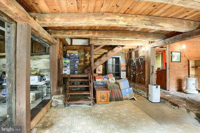 a view of a park with large trees